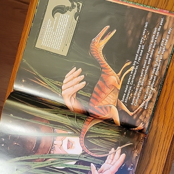 ● Kid's Book: "Hidden Dinosaurs" | EUC - Picture 12 of 16